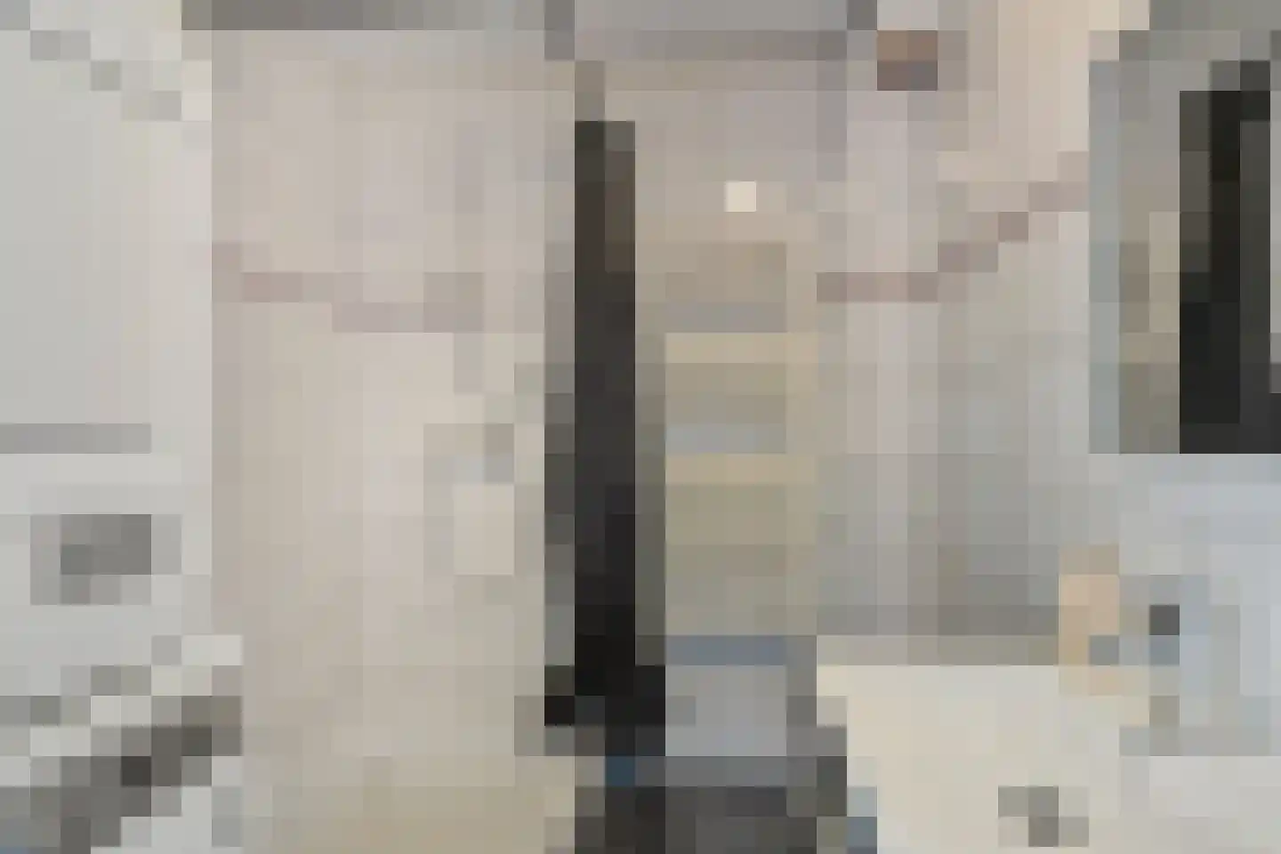 Einthovenstraat 44 Vlaardingen thumbnail 4