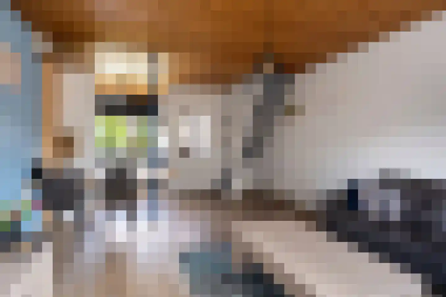 Einthovenstraat 44 Vlaardingen thumbnail 8