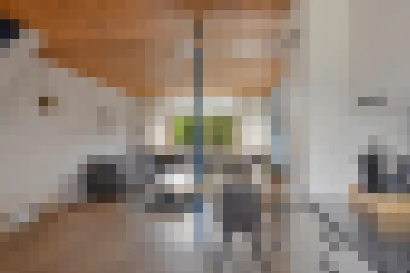 Einthovenstraat 44 Vlaardingen thumbnail 9