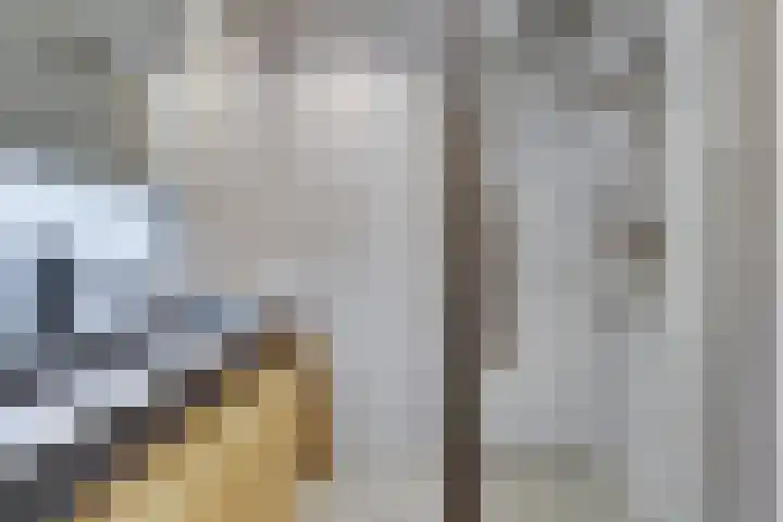 Einthovenstraat 5 Geleen thumbnail 18
