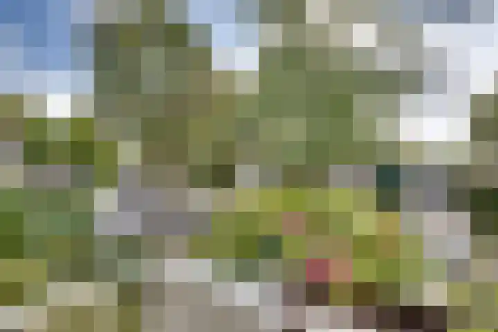 Einthovenstraat 5 Geleen thumbnail 24