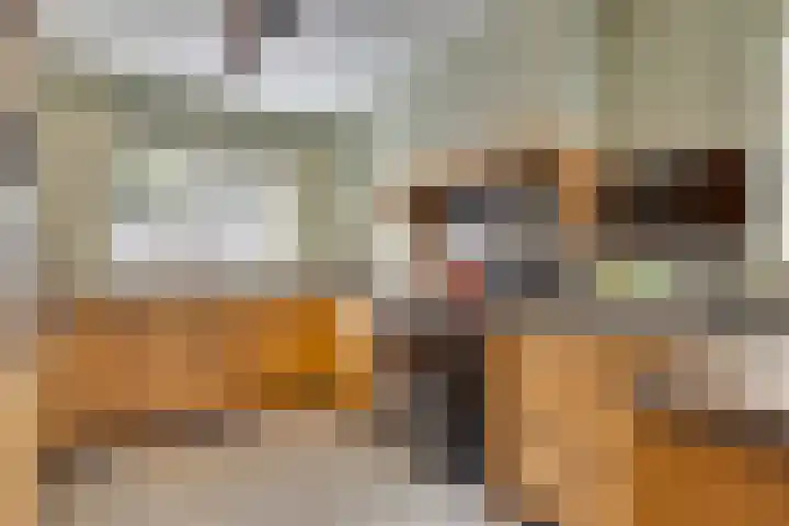 Einthovenstraat 5 Geleen thumbnail 9