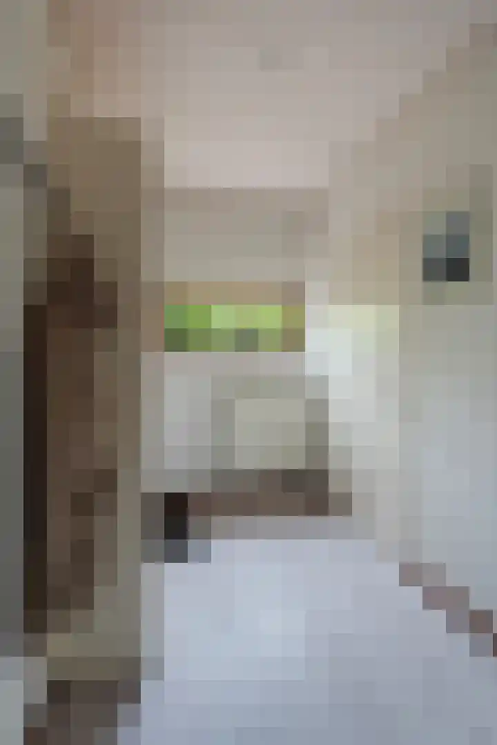 Einthovenstraat 7 Vlaardingen thumbnail 15