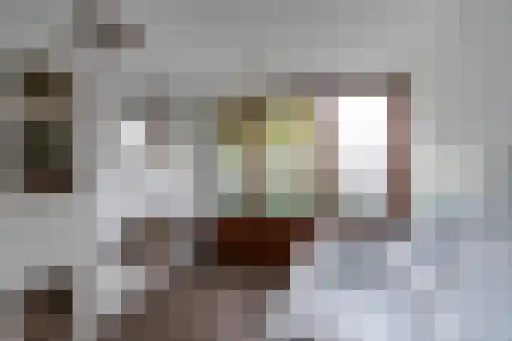 Einthovenstraat 7 Vlaardingen thumbnail 28