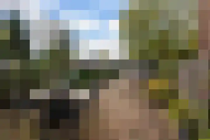 Einthovenstraat 7 Vlaardingen thumbnail 39