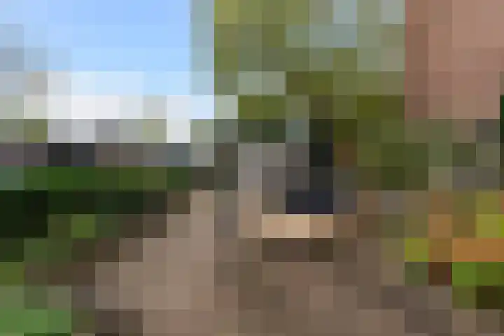 Einthovenstraat 7 Vlaardingen thumbnail 40