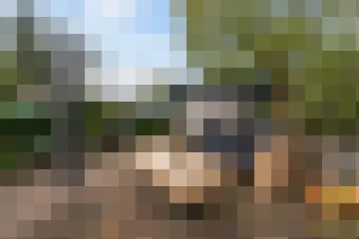 Einthovenstraat 7 Vlaardingen thumbnail 41