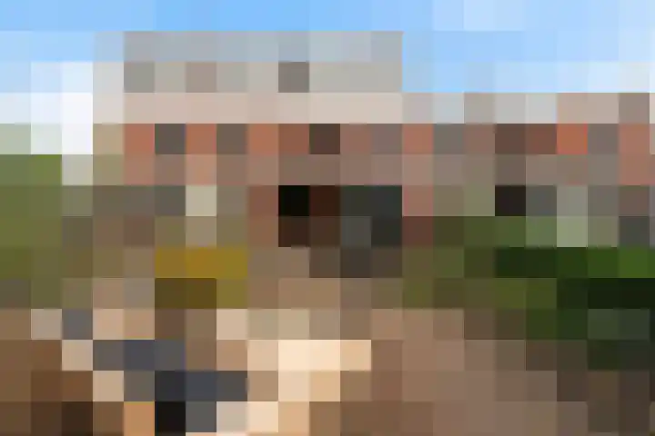 Einthovenstraat 7 Vlaardingen thumbnail 43