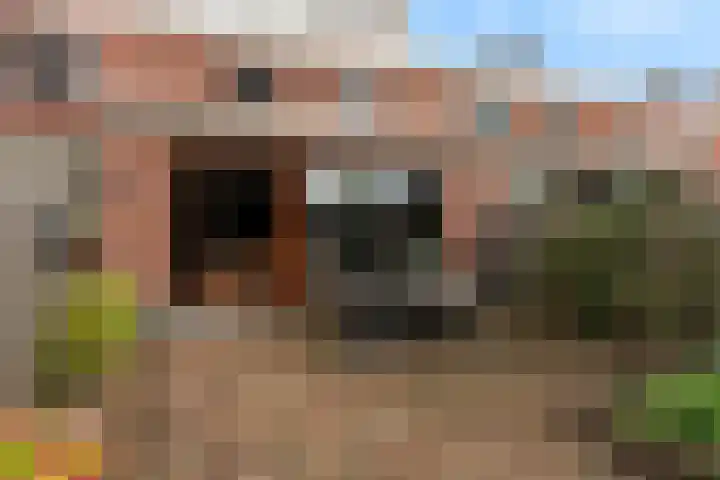 Einthovenstraat 7 Vlaardingen thumbnail 44