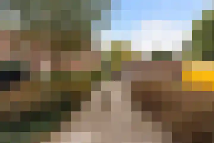 Einthovenstraat 7 Vlaardingen thumbnail 48
