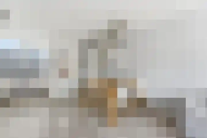 Einthovenstraat 76 Vlaardingen thumbnail 14