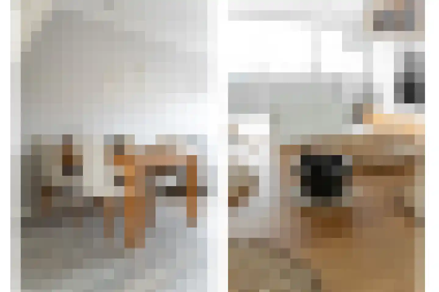 Einthovenstraat 76 Vlaardingen thumbnail 7