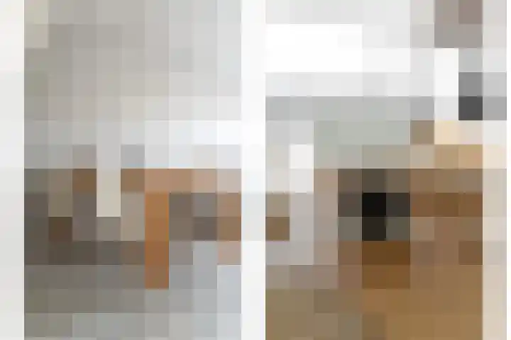 Einthovenstraat 76 Vlaardingen thumbnail 7