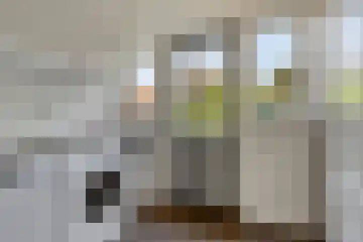 Einthovenstraat 8 Helmond thumbnail 18