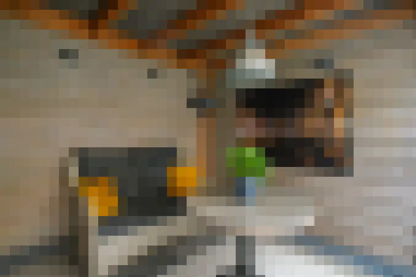 Eisdenstraat 11 Amsterdam thumbnail 37