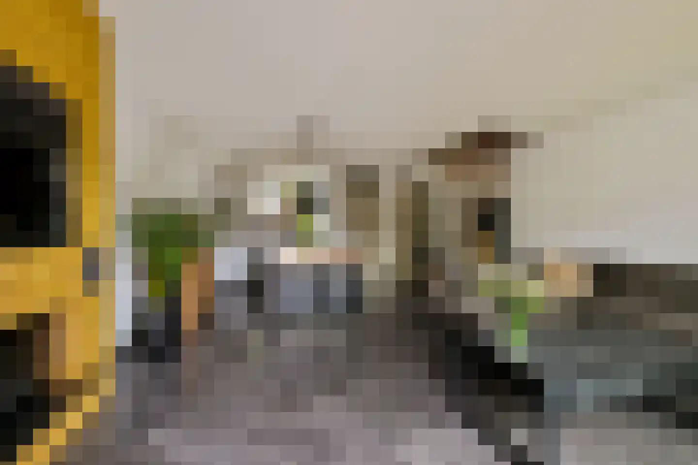 Eisdenstraat 11 Amsterdam thumbnail 7