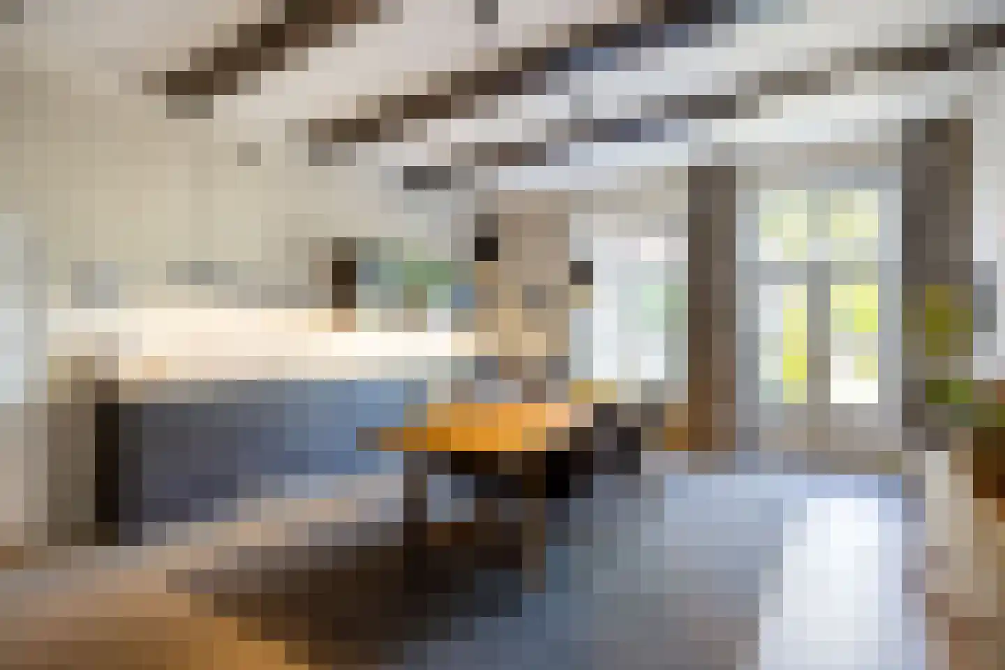 Eise Eisingastraat 10 Franeker thumbnail 4