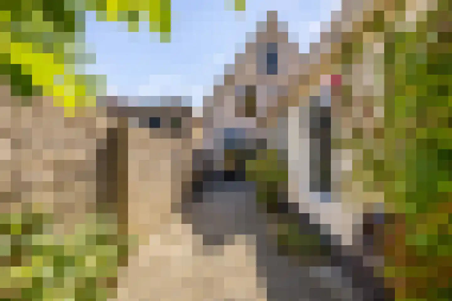 Eise Eisingastraat 10 Franeker thumbnail 40