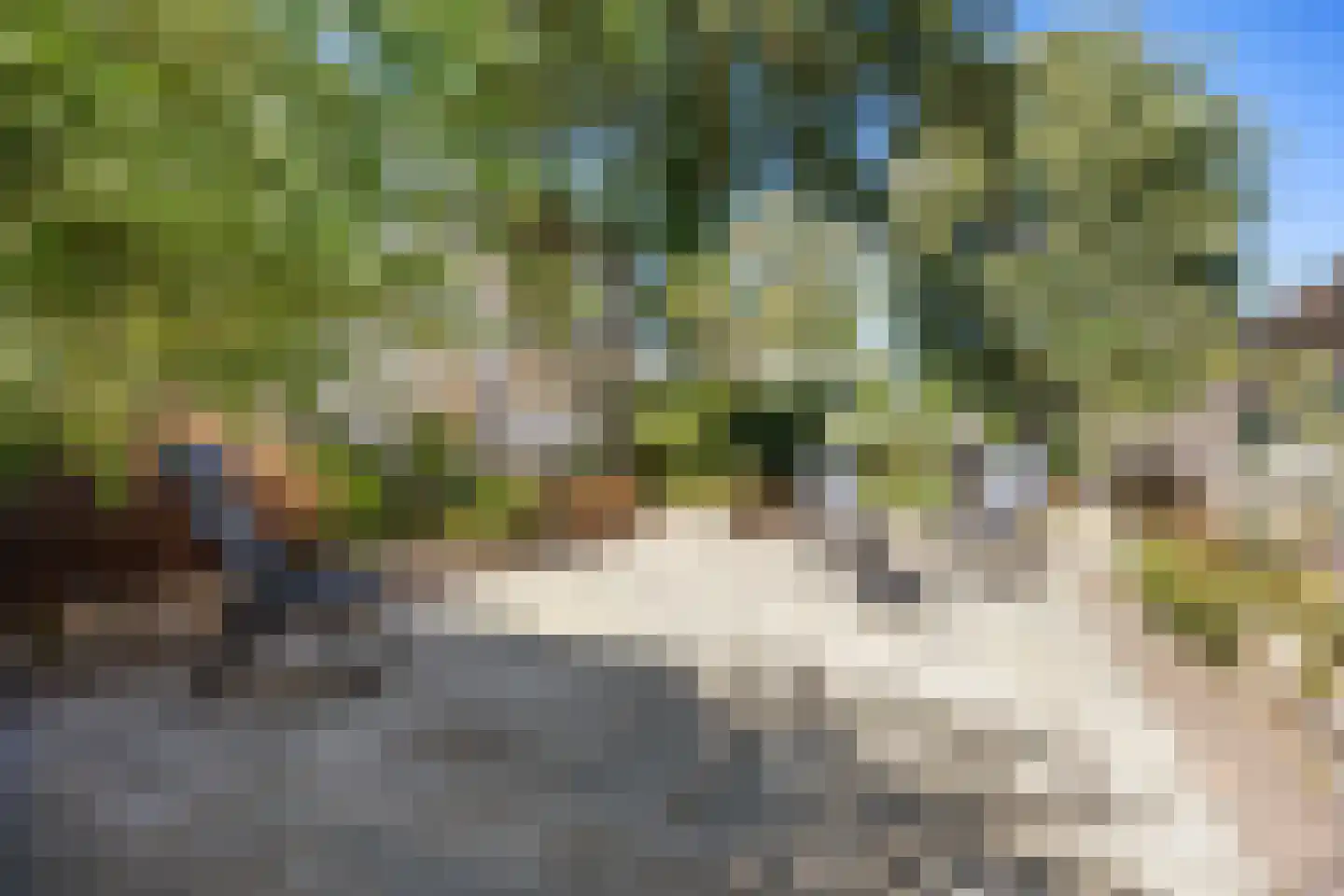 Eise Eisingastraat 10 Franeker thumbnail 47