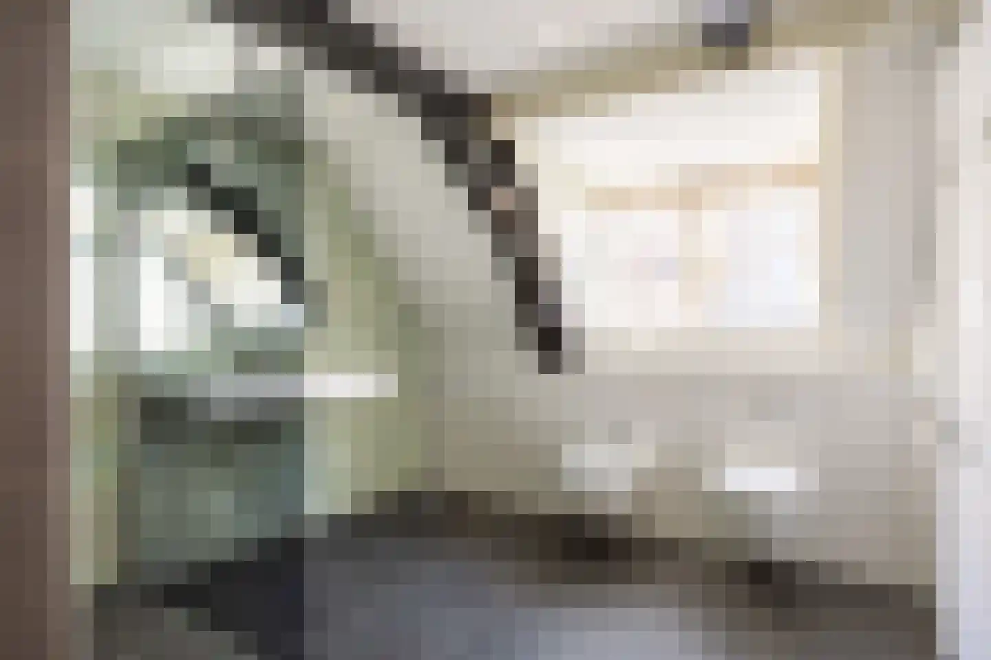 Eise Eisingastraat 10 Franeker thumbnail 5
