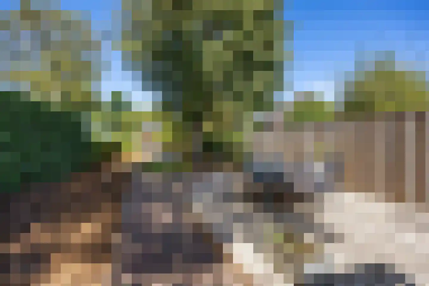 Eise Eisingastraat 10 Franeker thumbnail 50