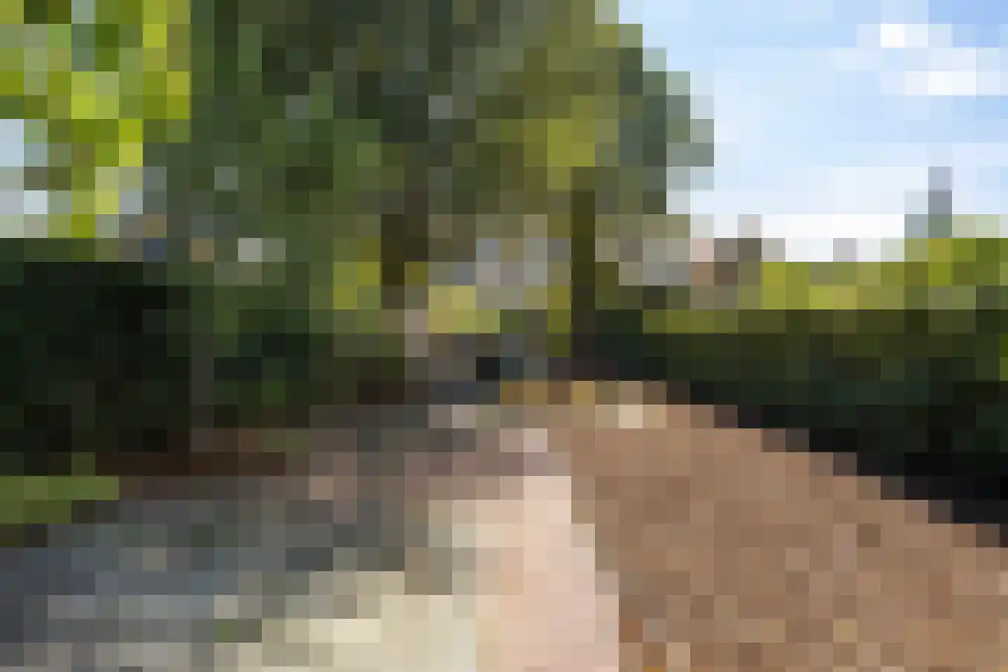 Eise Eisingastraat 10 Franeker thumbnail 51