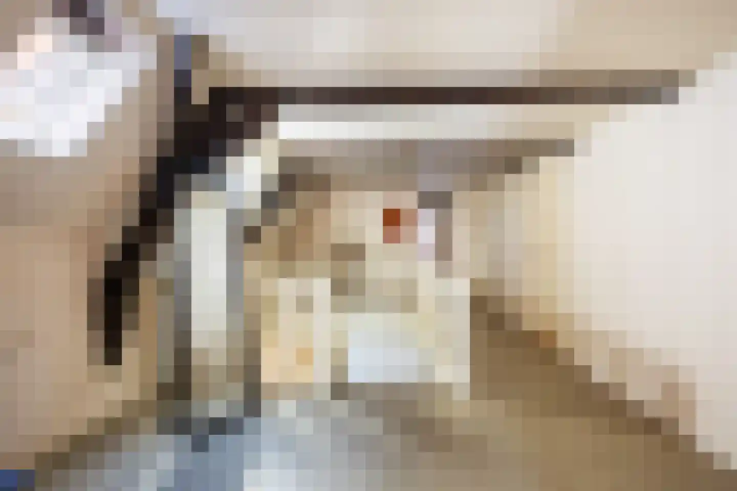 Eise Eisingastraat 10 Franeker thumbnail 54