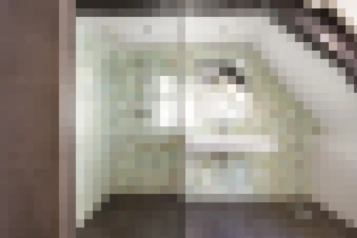Eise Eisingastraat 10 Franeker thumbnail 57