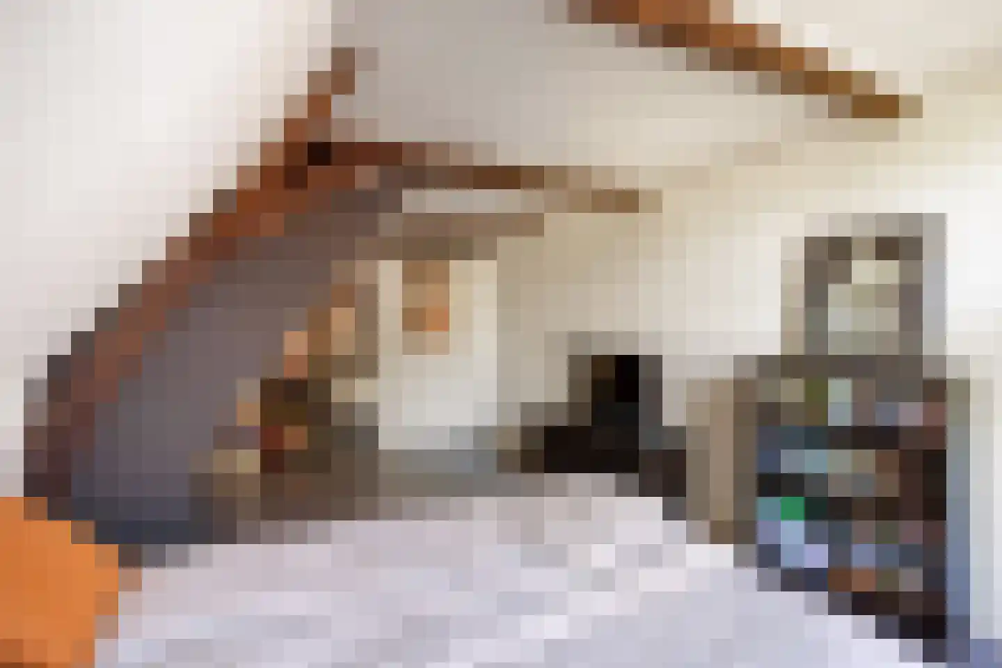 Eise Eisingastraat 10 Franeker thumbnail 65