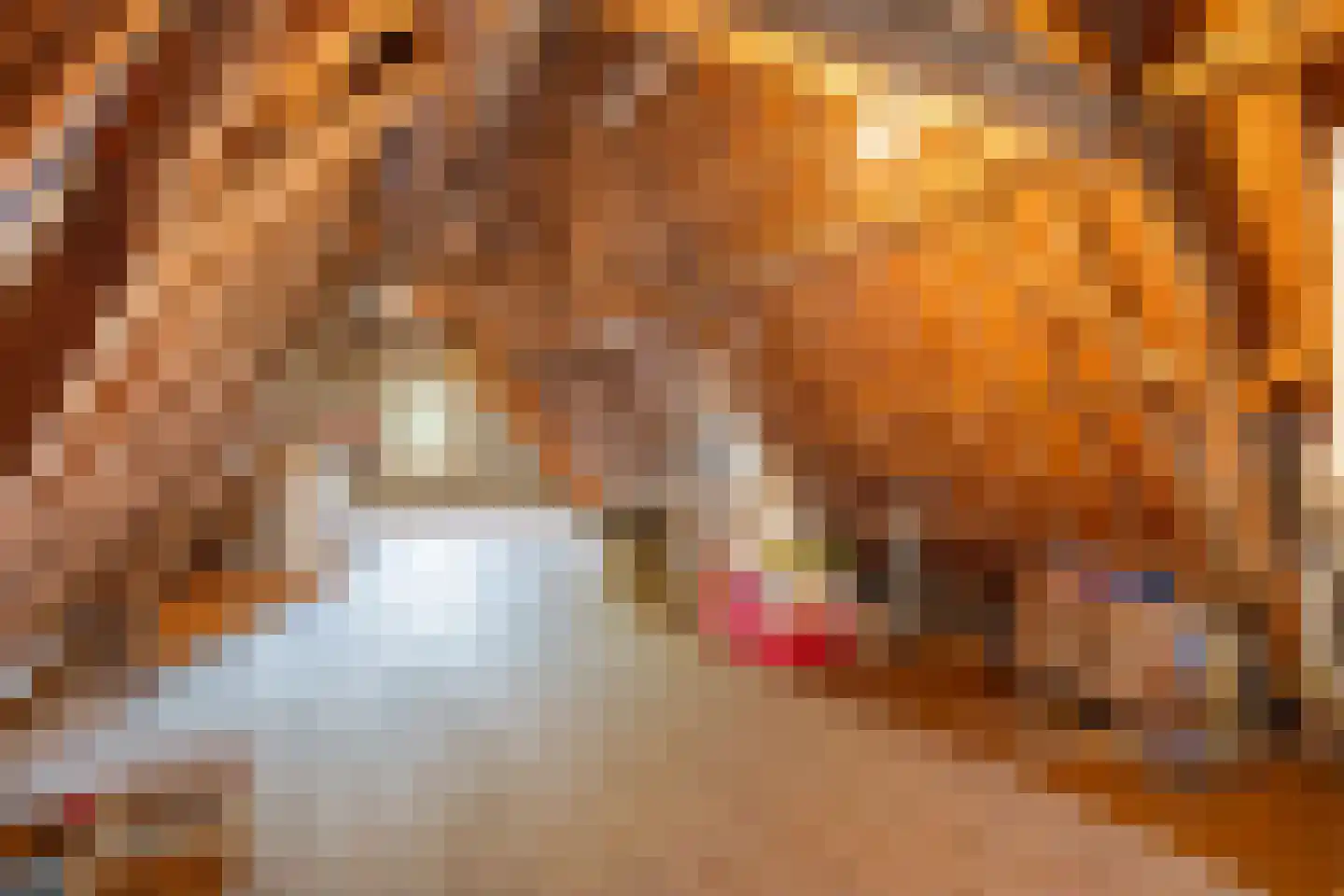 Eise Eisingastraat 10 Franeker thumbnail 74