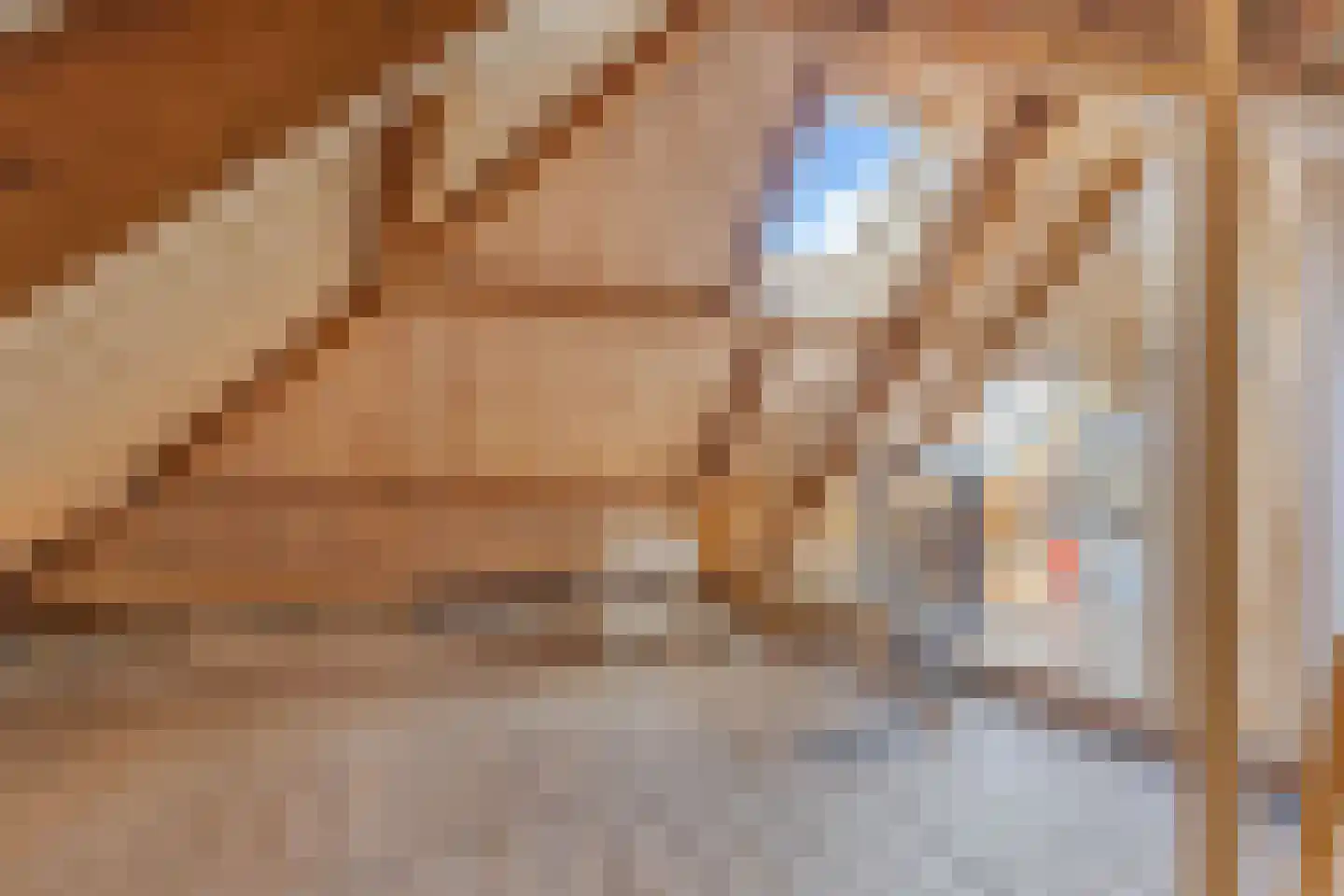 Eise Eisingastraat 26 Franeker thumbnail 34