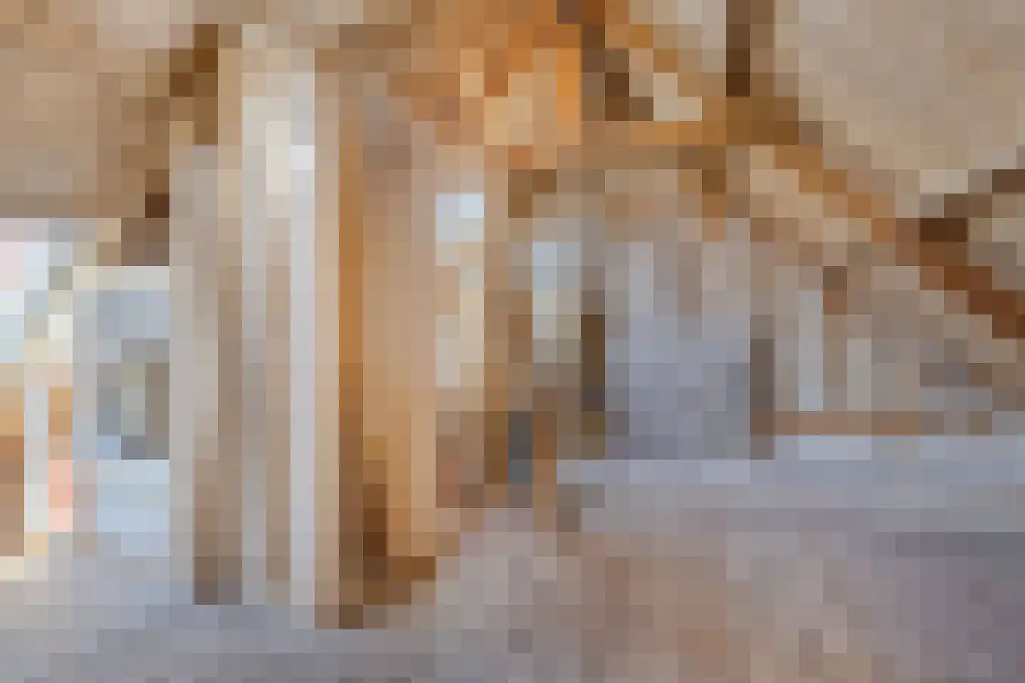 Eise Eisingastraat 26 Franeker thumbnail 36