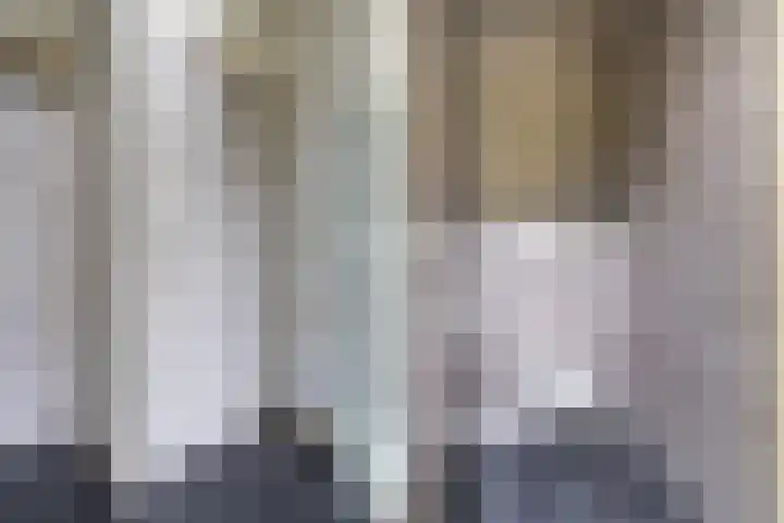 Eise Eisingastrjitte 12 Dronryp thumbnail 14