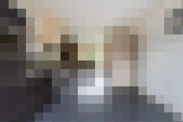 Eise Eisingastrjitte 12 Dronryp thumbnail 23