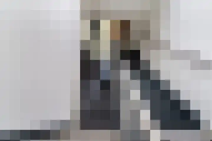 Eise Eisingastrjitte 12 Dronryp thumbnail 26