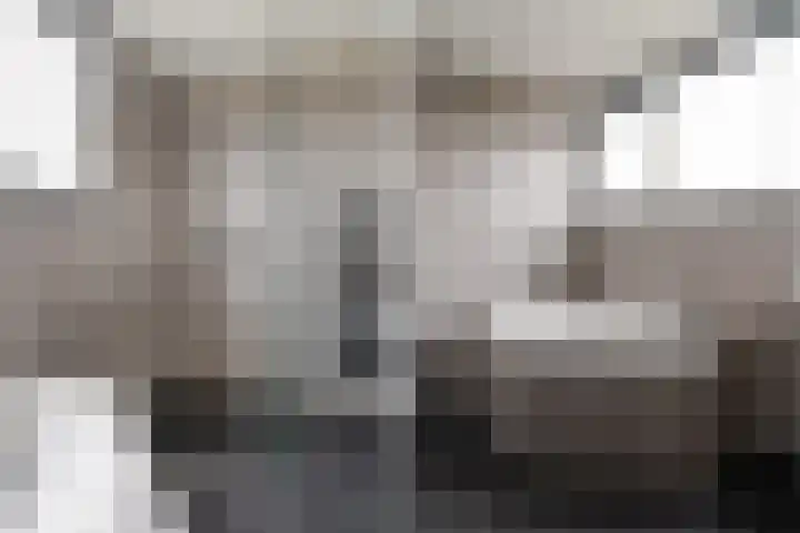 Eise Eisingastrjitte 12 Dronryp thumbnail 34