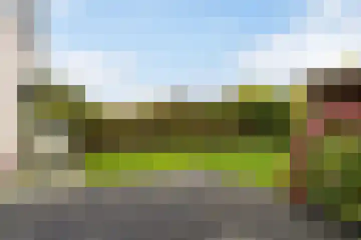 Eise Eisingastrjitte 12 Dronryp thumbnail 6