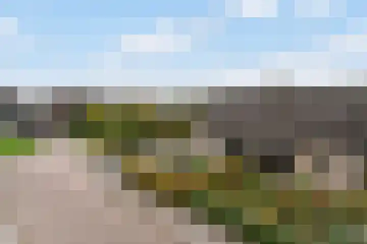 Eise Eisingastrjitte 12 Dronryp thumbnail 7
