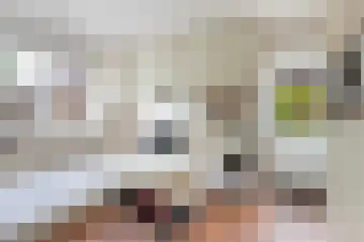 Eise Eisingastrjitte 46 Dronryp thumbnail 19