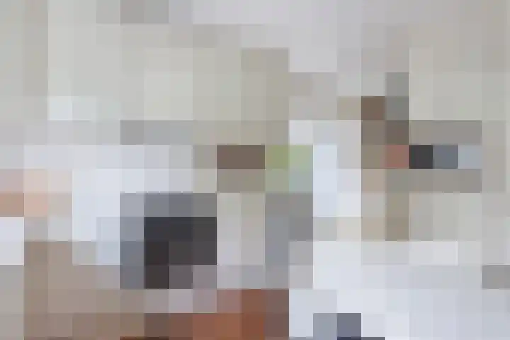 Eise Eisingastrjitte 46 Dronryp thumbnail 22