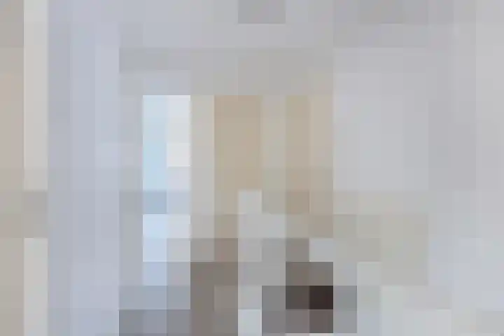 Eise Eisingastrjitte 46 Dronryp thumbnail 25