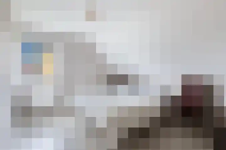 Eise Eisingastrjitte 46 Dronryp thumbnail 27