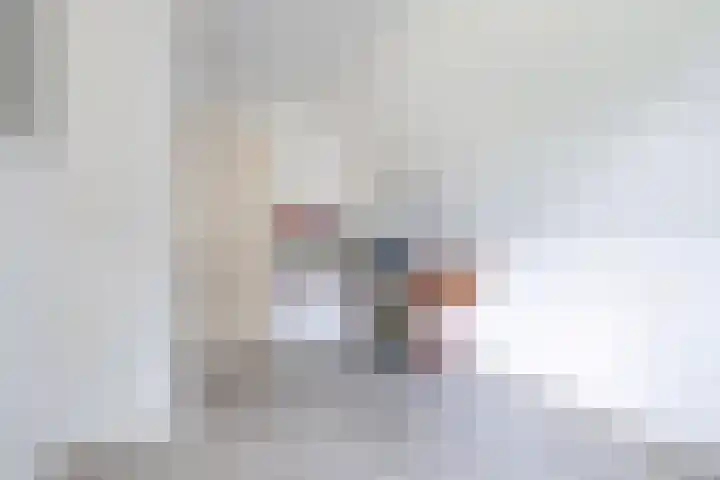 Eise Eisingastrjitte 46 Dronryp thumbnail 29