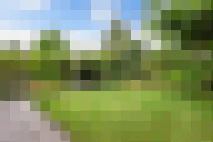 Eise Eisingastrjitte 46 Dronryp foto 3