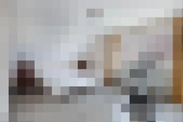 Eise Eisingastrjitte 46 Dronryp thumbnail 30