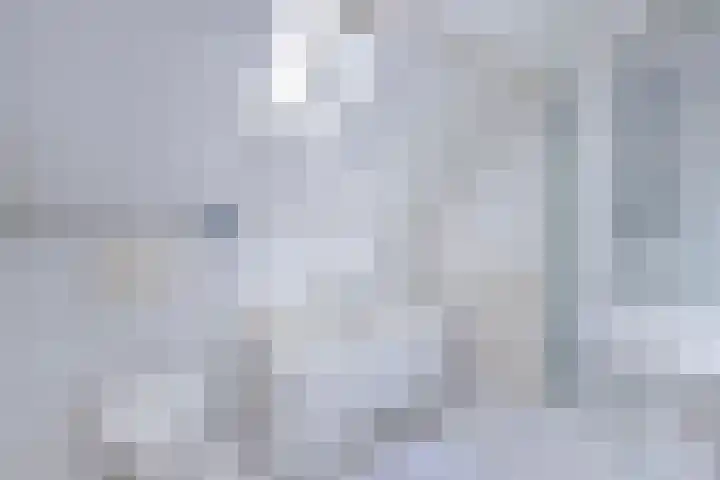 Eise Eisingastrjitte 46 Dronryp thumbnail 32