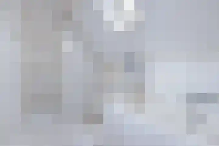 Eise Eisingastrjitte 46 Dronryp thumbnail 34