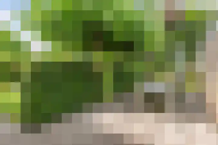 Eise Eisingastrjitte 46 Dronryp thumbnail 35
