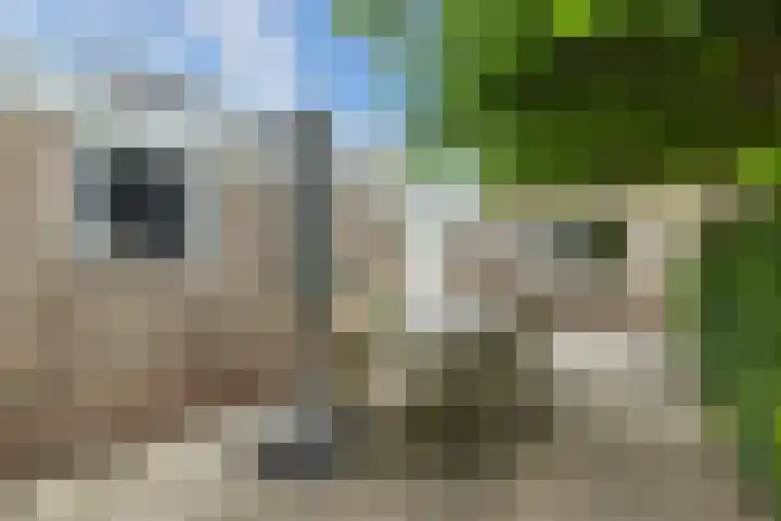 Eise Eisingastrjitte 46 Dronryp thumbnail 36