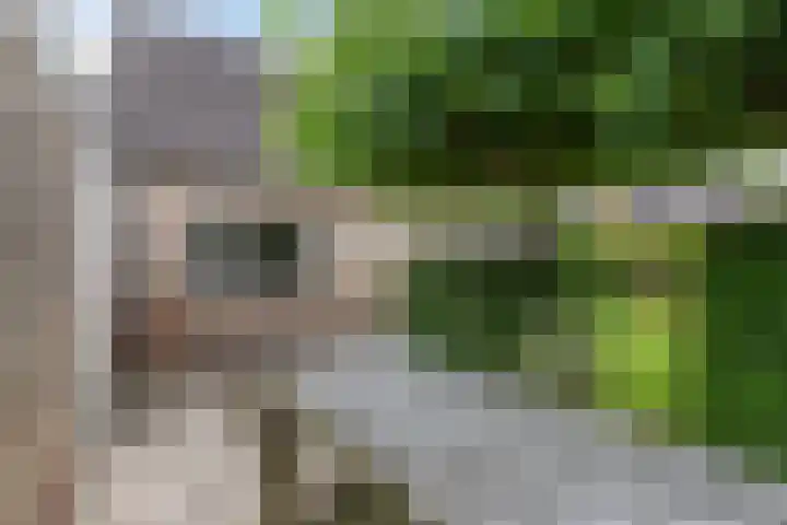 Eise Eisingastrjitte 46 Dronryp thumbnail 37